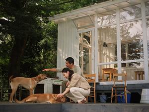 千葉にある親切なイノベーション業者