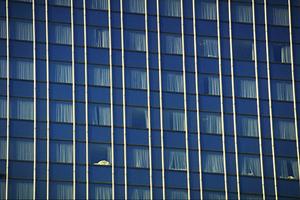 資産運用にはこの会社がおすすめです