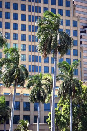 使えない土地を売れる業者がある