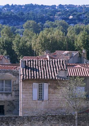 建物検査を行うコンサルティング会社