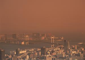 東京特有の狭い足場工事でも安心です