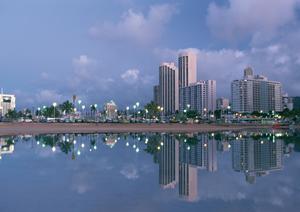 ハワイの戸建ての庭の管理も任せましょう