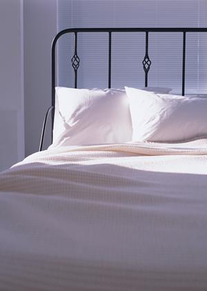 適切な建設業許可票看板を作る業者の選択